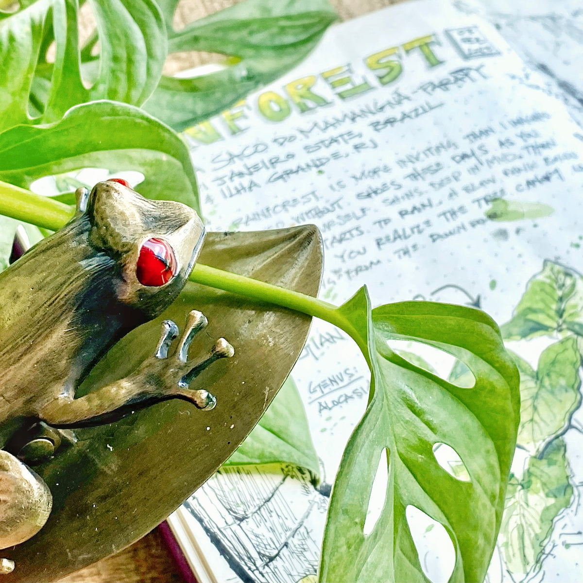 Tree Frog Page Clip