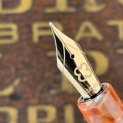 Esterbrook Fountain Pen Nibs