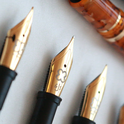 Esterbrook Fountain Pen Nibs