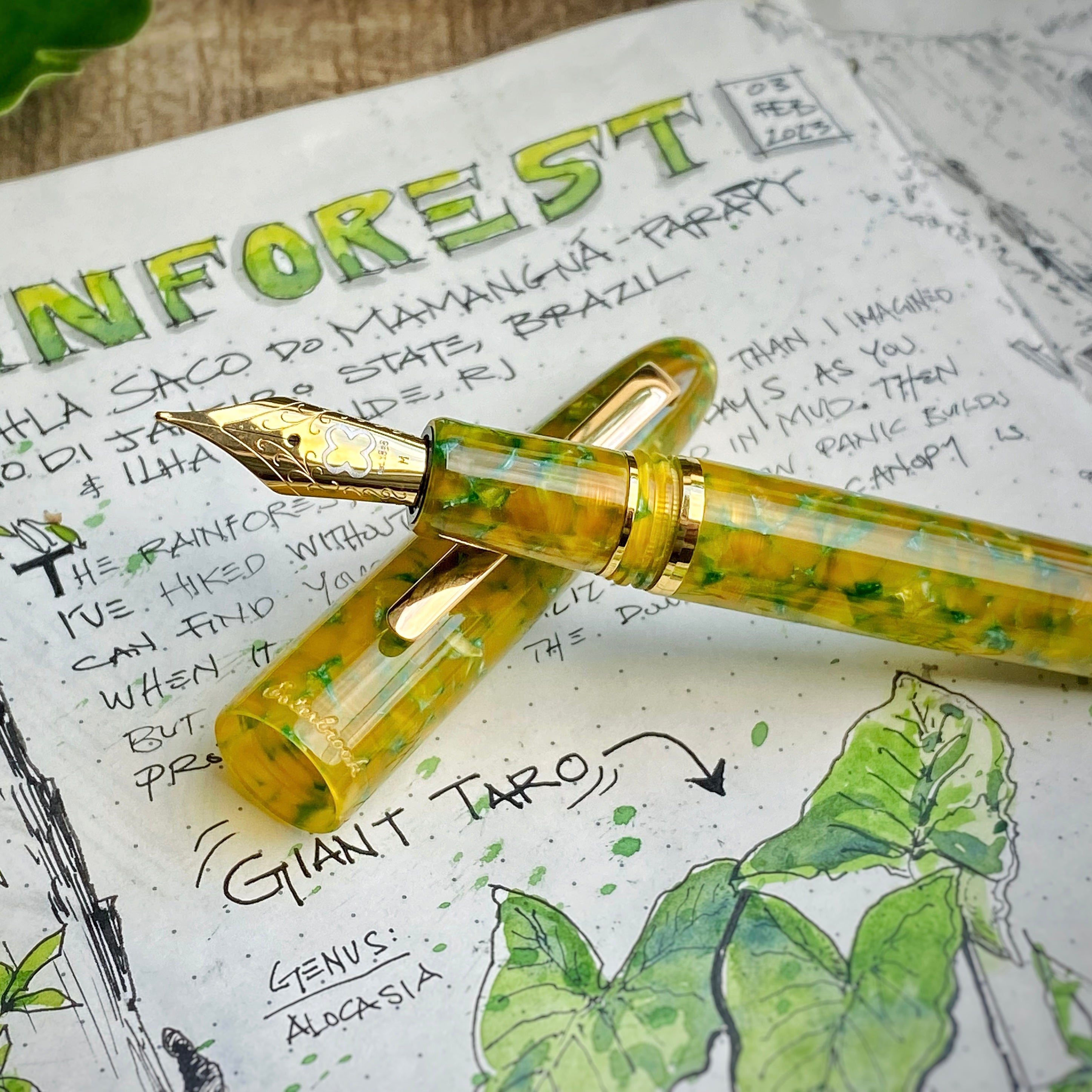 Estie Rainforest - Limited Edition