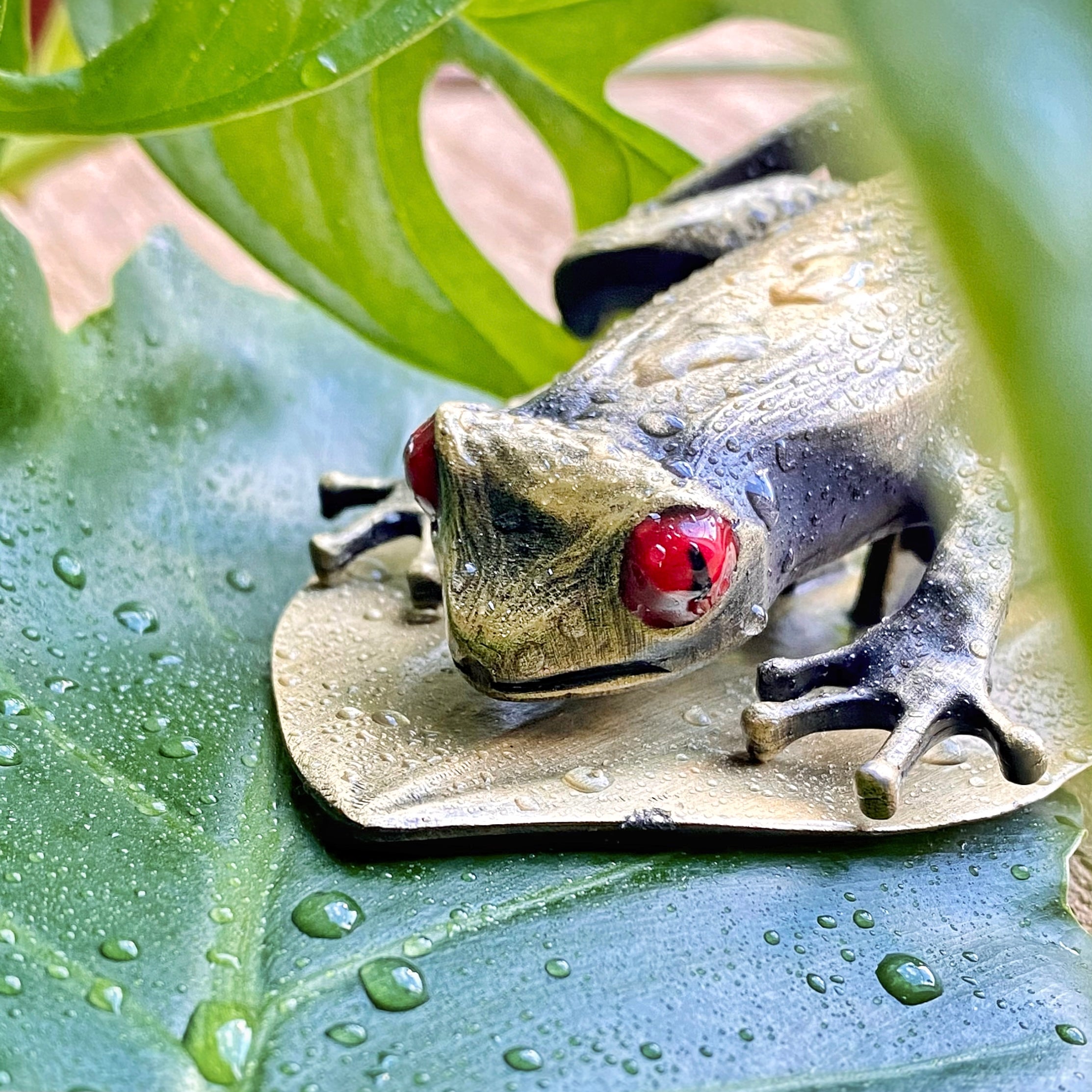 Tree Frog Page Clip